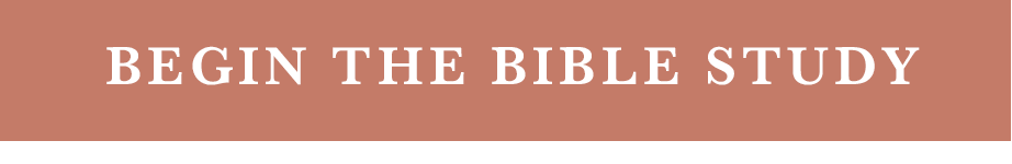 Begin the Bible Study 